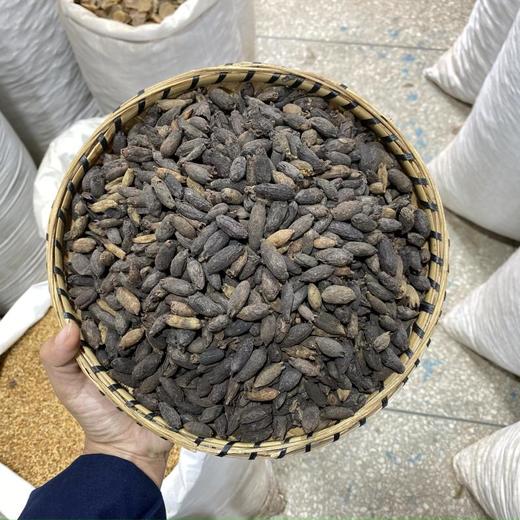 母丁香 商品图0