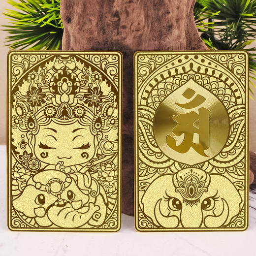 普贤金卡 商品图0