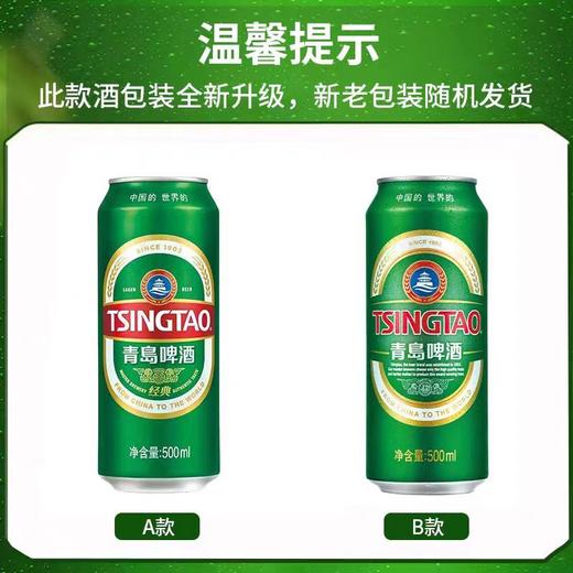 青岛经典听装500ml*12 商品图2