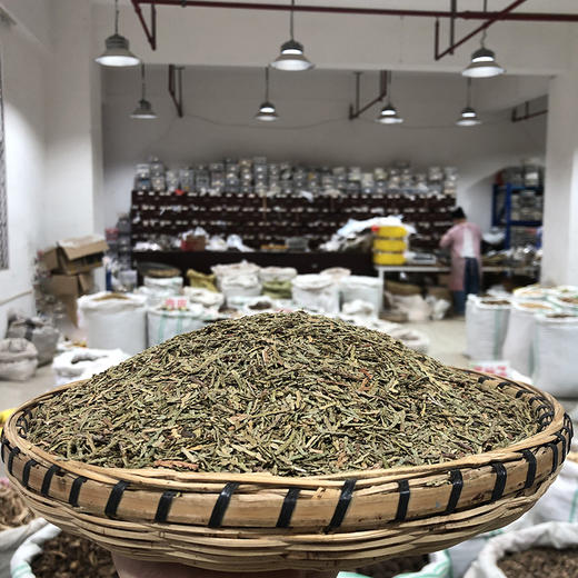 侧柏叶 商品图1