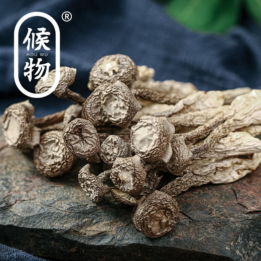 候物鹿茸菇|清香十足，脆嫩可口，提鲜一绝！ 商品图1
