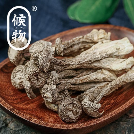 候物鹿茸菇|清香十足，脆嫩可口，提鲜一绝！ 商品图0