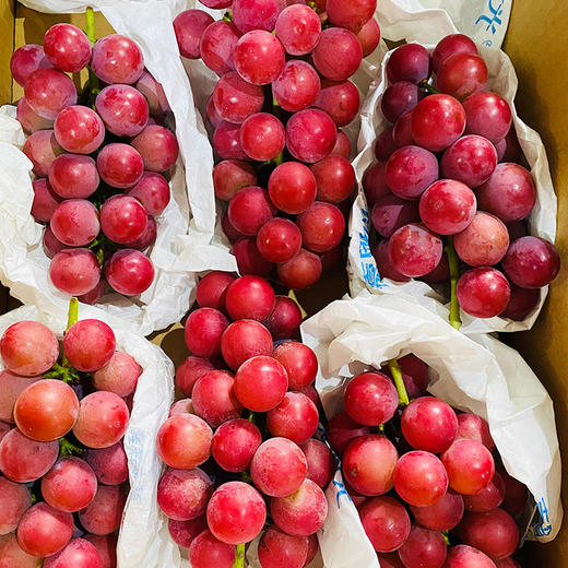 【大理•妮娜皇后葡萄】 顺丰空运到家 颜值诱人 香甜多汁 花香的清新 果香的鲜甜 奶香的醇蜜 酒香的层次 多种规格任选 中秋送礼礼盒推荐 商品图2