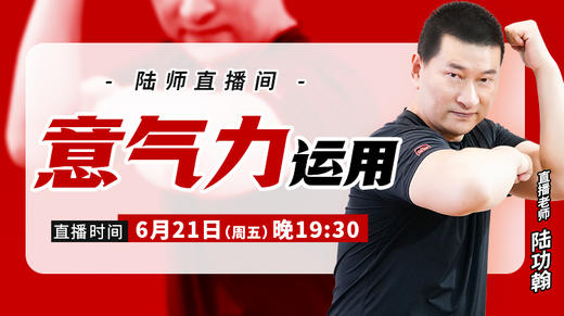 6月21日  “意、气、力”运用 商品图0