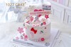 1027CAKE |  周岁 小兔子  翻糖装饰 商品缩略图2