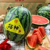 卡波甘美站神西瓜2.5-3kg/个 商品缩略图0