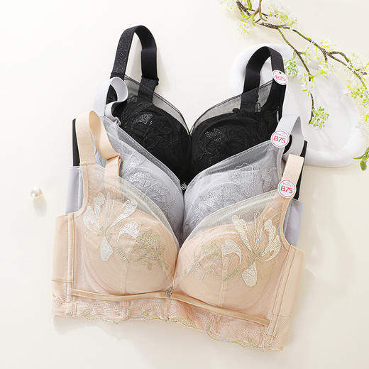【商场同款】熳洁儿 小胸聚拢文胸轻塑调整高级刺绣蕾丝舒适云感棉中厚杯24201303 商品图6