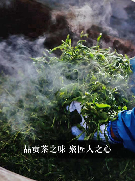【猫耳朵单株】2024年头春头采 茶中精灵猫耳朵云南仅有0.01％的茶种 易武普洱茶生茶357g/饼 5饼/提 拍5发6拍20发25 商品图1
