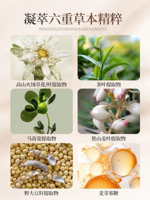 清琉璃眼啫喱 20g 草本护肤 商品图3