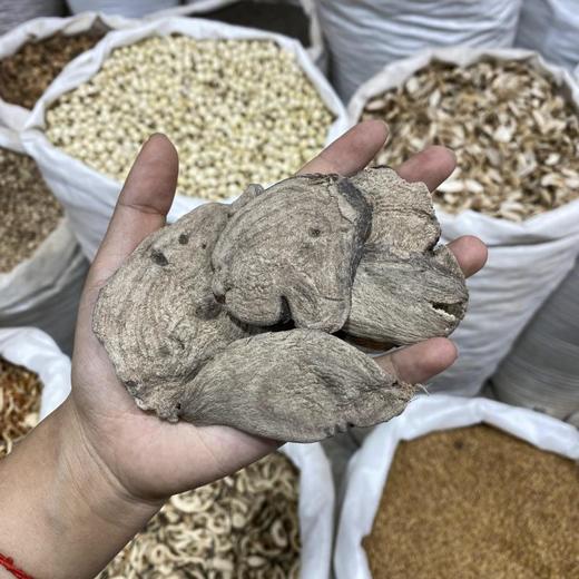 丁香花根 商品图4