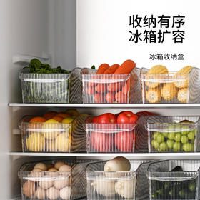 FaSoLa冰箱收纳盒厨房食物蔬菜保鲜盒冷冻专用水果鸡蛋储物盒