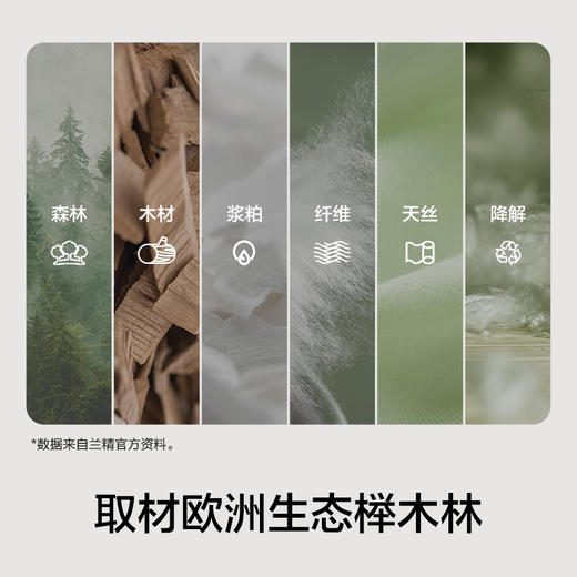 有棵树2024新款莫代尔高腰内裤3条装-5008 商品图1