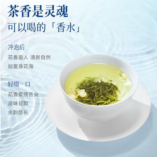 竹叶青牌碧潭飘雪茉莉花茶 100g/盒 商品图3