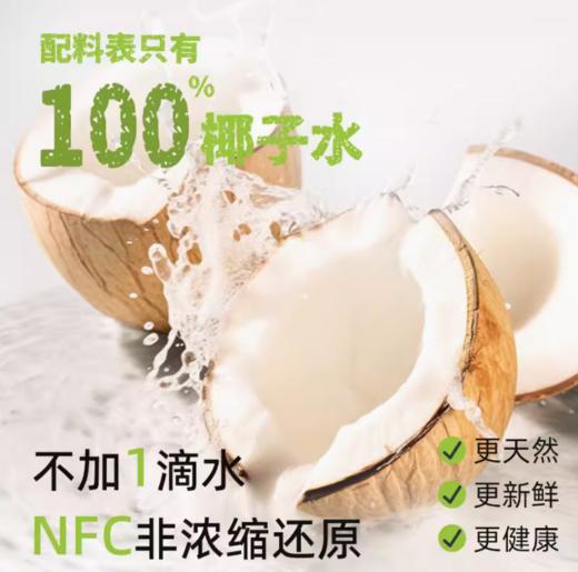 越南进口 Vizcoco100%椰子水富含天然电解质NFC椰青椰汁450ml 商品图1