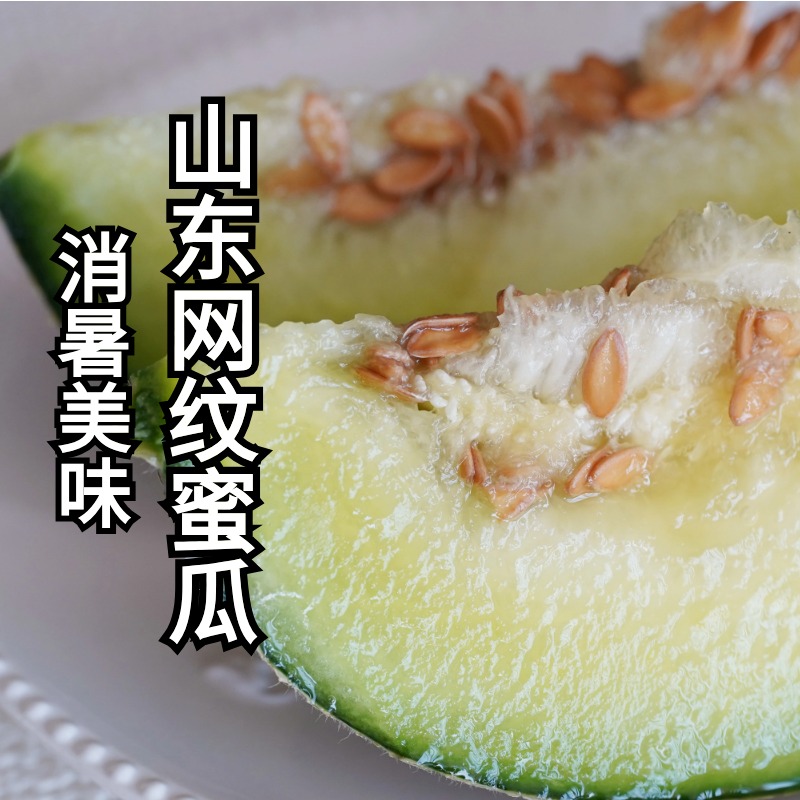 消暑蜜瓜 | 山东海阳网纹瓜