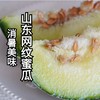消暑蜜瓜 | 山东海阳网纹瓜 商品缩略图0