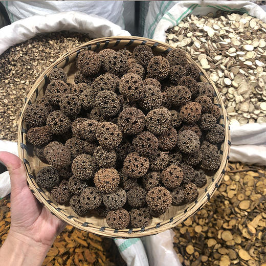 路路通 云南野生路路通 商品图0