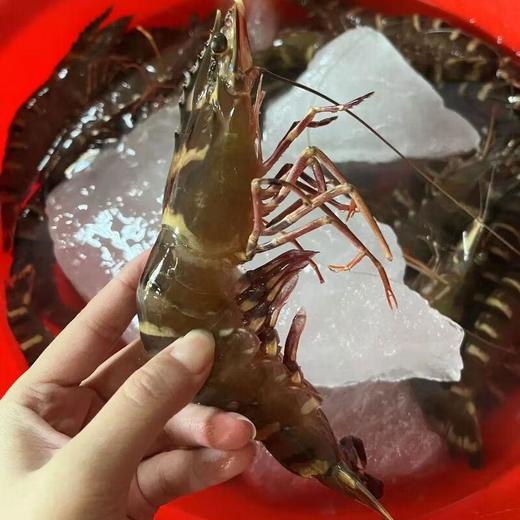 木虾约22尾/斤左右（约500G） /份 /份 商品图1