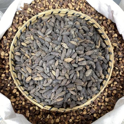 母丁香 商品图2