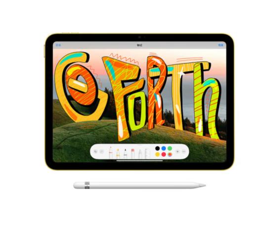 Apple苹果 iPad10 Wlan版 10.9英寸平板电脑无线局域网 256GB 商品图6