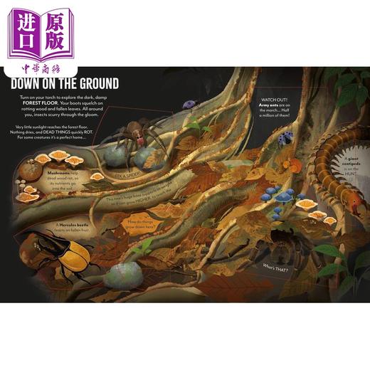 【中商原版】极地星球 穿越亚马逊 Extreme Planet Journey Through The Amazon英文原版 儿童科普绘本 自然科学纸板书翻翻书 商品图3