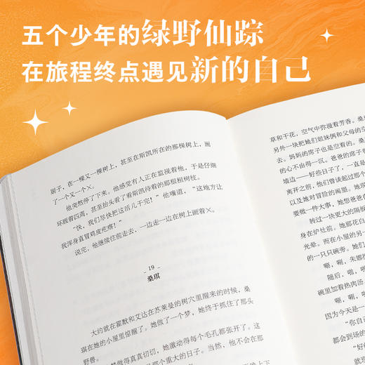 不再隐身的男孩   2024年百班千人暑期书目5年级|祖庆说名师推荐正版课外阅读现货速发 商品图4