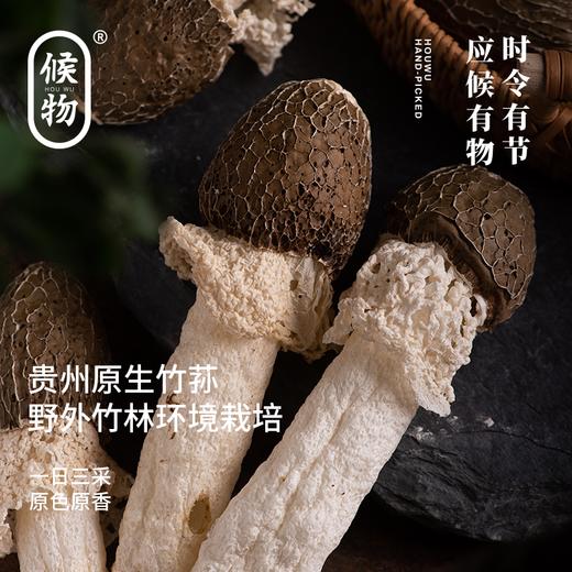 候物黑帽竹荪|来自“中国竹荪之乡”，拒绝熏硫，肉肥脆嫩爽口 商品图3