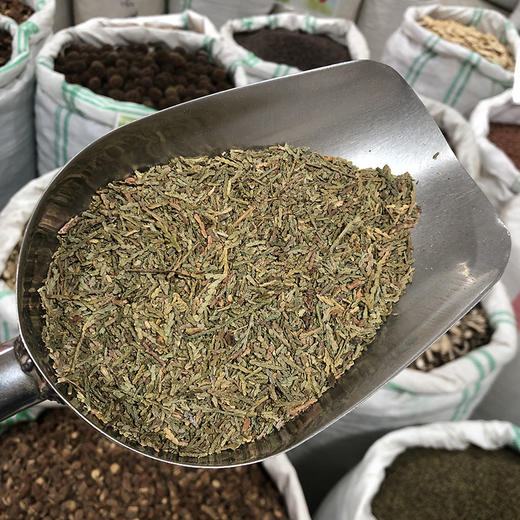 侧柏叶 商品图4