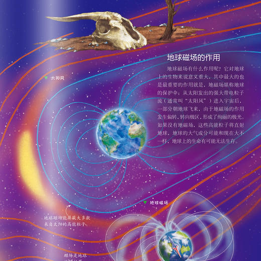 “少年简读简史”系列：《宇宙简史》（全4册） 商品图10