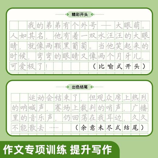 小学生卷面提升练字帖提高卷面分一二三年级练字帖每日一练 商品图8