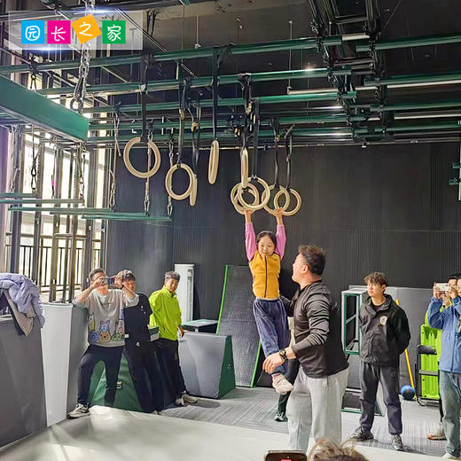 体能器材木制吊环 商品图1