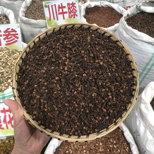 丁香  常用规格 公丁香 香料药材 商品图0