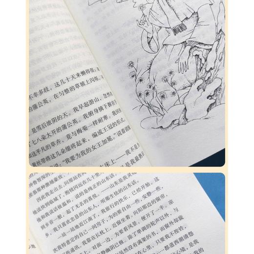 寄小读者 商品图2