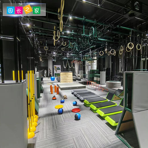 体能器材大风车 商品图3