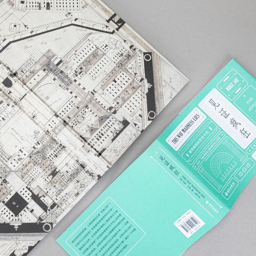 见证疯狂：精神病院的前世今生（英）迈克·杰伊 著 商品图2