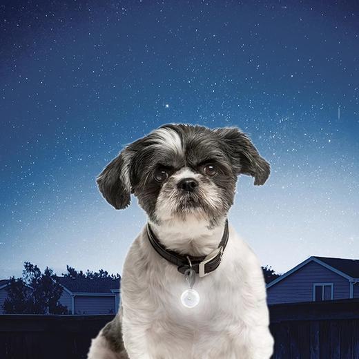 美国NiteIze奈爱宠物灯发光吊坠防水led灯夜间小型夜光遛狗灯防丢 商品图2