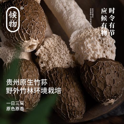 候物黑帽竹荪|来自“中国竹荪之乡”，拒绝熏硫，肉肥脆嫩爽口 商品图4