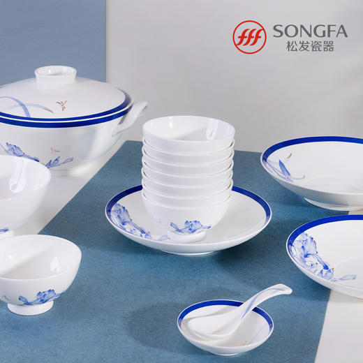 38头鸢尾芳华餐具 商品图5