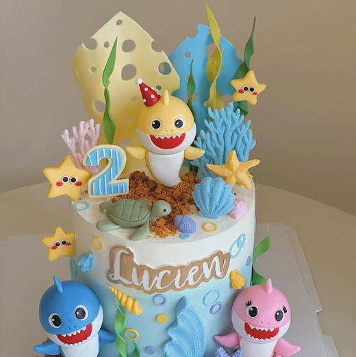 鲨鱼宝宝（奶油霜抹面） 商品图2