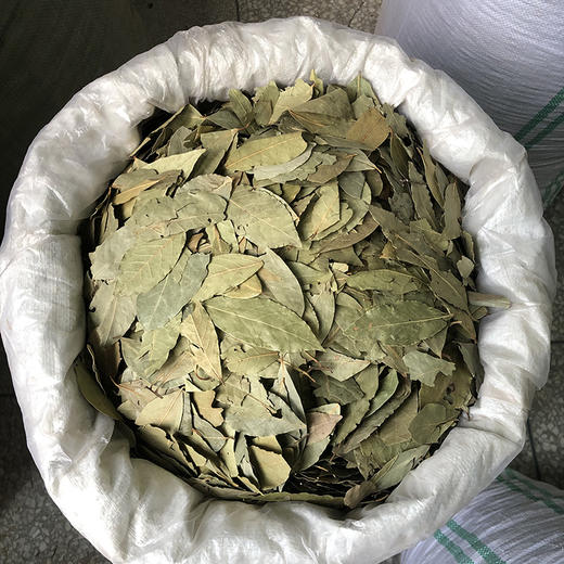 香叶 特级特绿 可做香料 商品图2