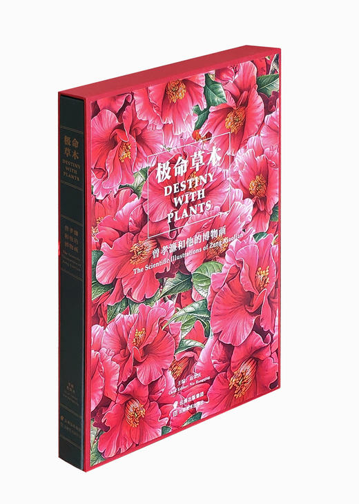 极命草木 曾孝濂和他的博物画 一花一草，均是故事；一鸟一木，皆见世界 商品图0