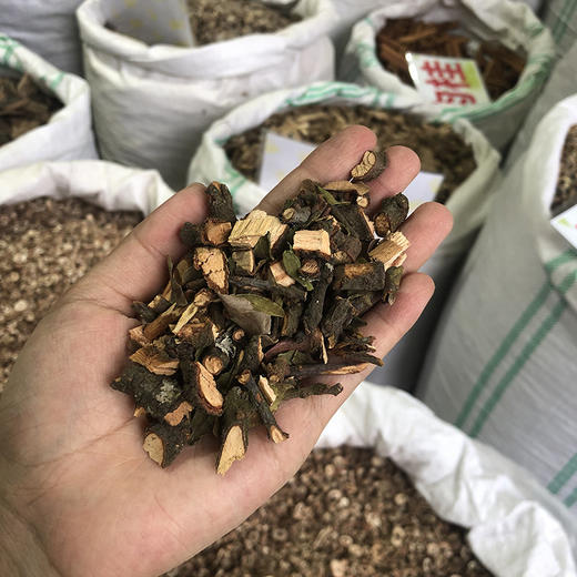 桑寄生 云南正品干货中药材 新鲜泡茶 当季新货 无硫熏 商品图4