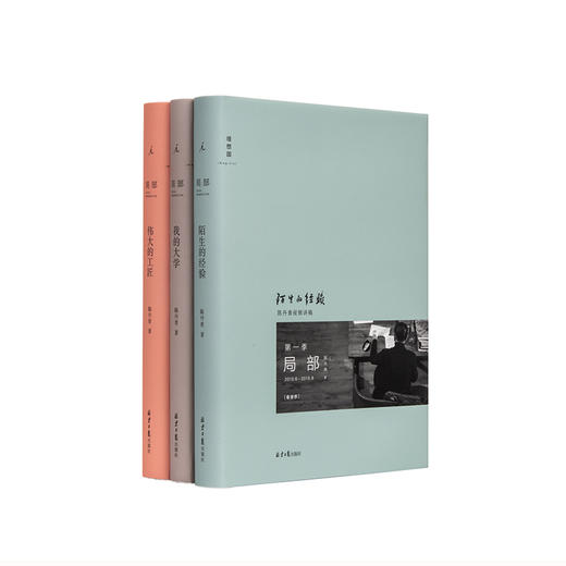 局部 陈丹青 套装3册 陌生的经验+我的大学+伟大的工匠 新版 陈丹青 美学中西艺术 理想国图书旗舰店 商品图1