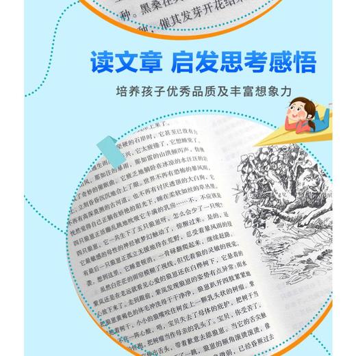 狼王梦 商品图1