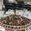 桑寄生 云南正品干货中药材 新鲜泡茶 当季新货 无硫熏 商品缩略图3