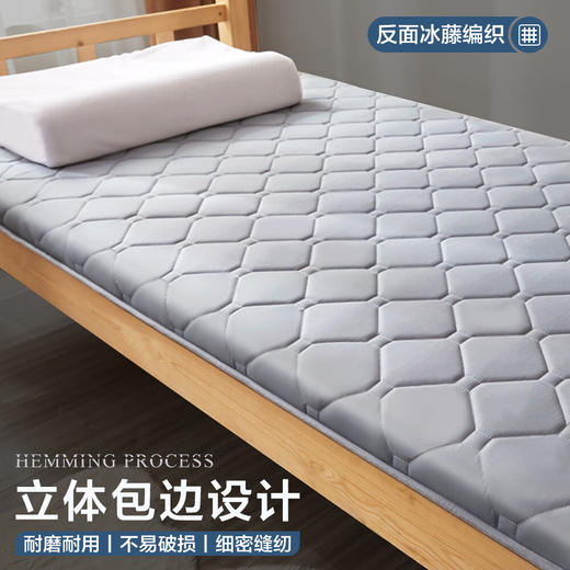 南极人冬夏两用凉席床垫子1.5x2米宿舍单人床褥垫被铺底薄款榻榻米褥子 双面床垫-水银灰 商品图3