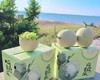 消暑蜜瓜 | 山东海阳网纹瓜 商品缩略图3