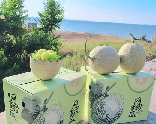 消暑蜜瓜 | 山东海阳网纹瓜 商品图3