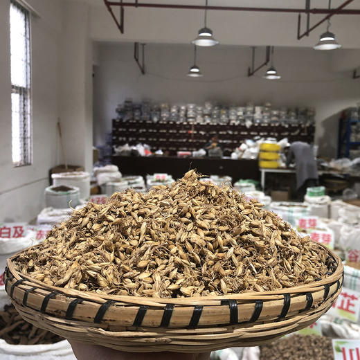 麦芽 生麦芽  农家自种，颗粒饱满中药材 商品图2