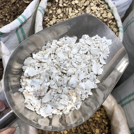 牡蛎  生牡蛎 商品图3